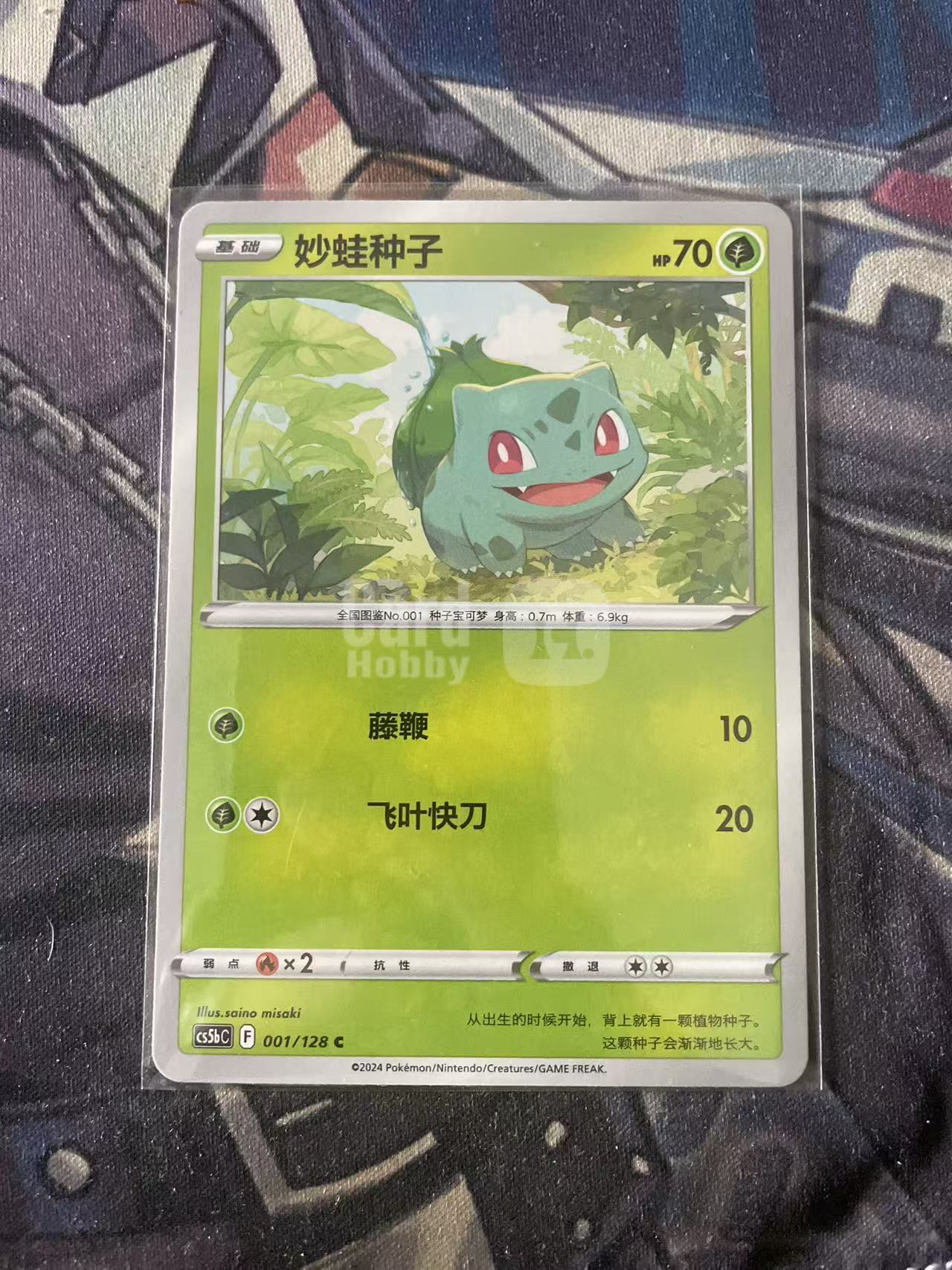 2024 Pokemon TCG 1 妙蛙种子 chs 宝可梦 简中 木水拍卖 204