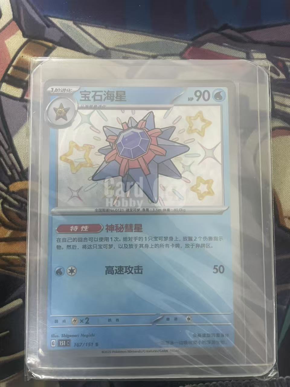 2024 Pokemon TCG 1 宝石海星 S闪 chs 宝可梦 简中 木水拍卖 爱国者