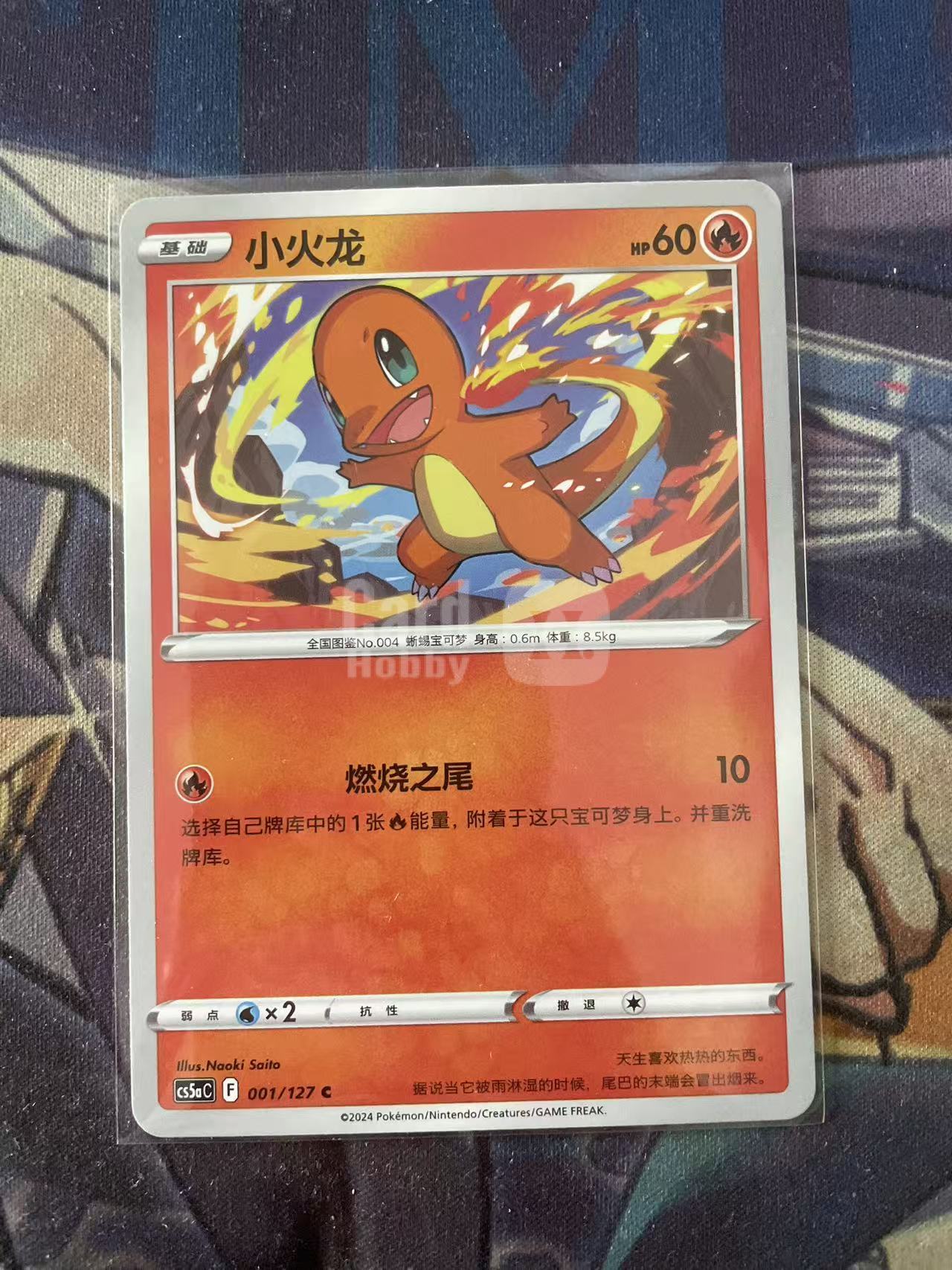 2024 Pokemon TCG 1 小火龙 chs 宝可梦 简中 木水拍卖 93