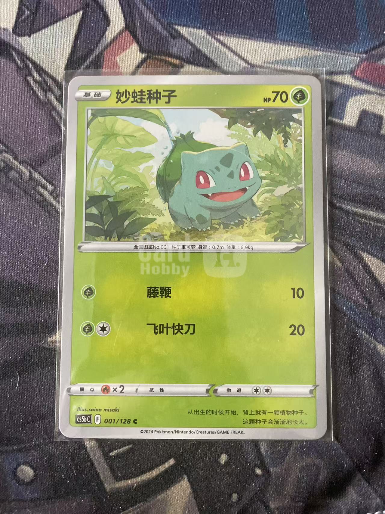 2024 Pokemon TCG 1 妙蛙种子 chs 宝可梦 简中 木水拍卖 204